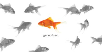 Expand your Employability: 3 Killer Ways to Get Noticed and Get Hired 